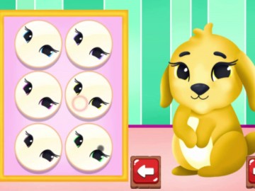 Owl and Rabbit Fashion